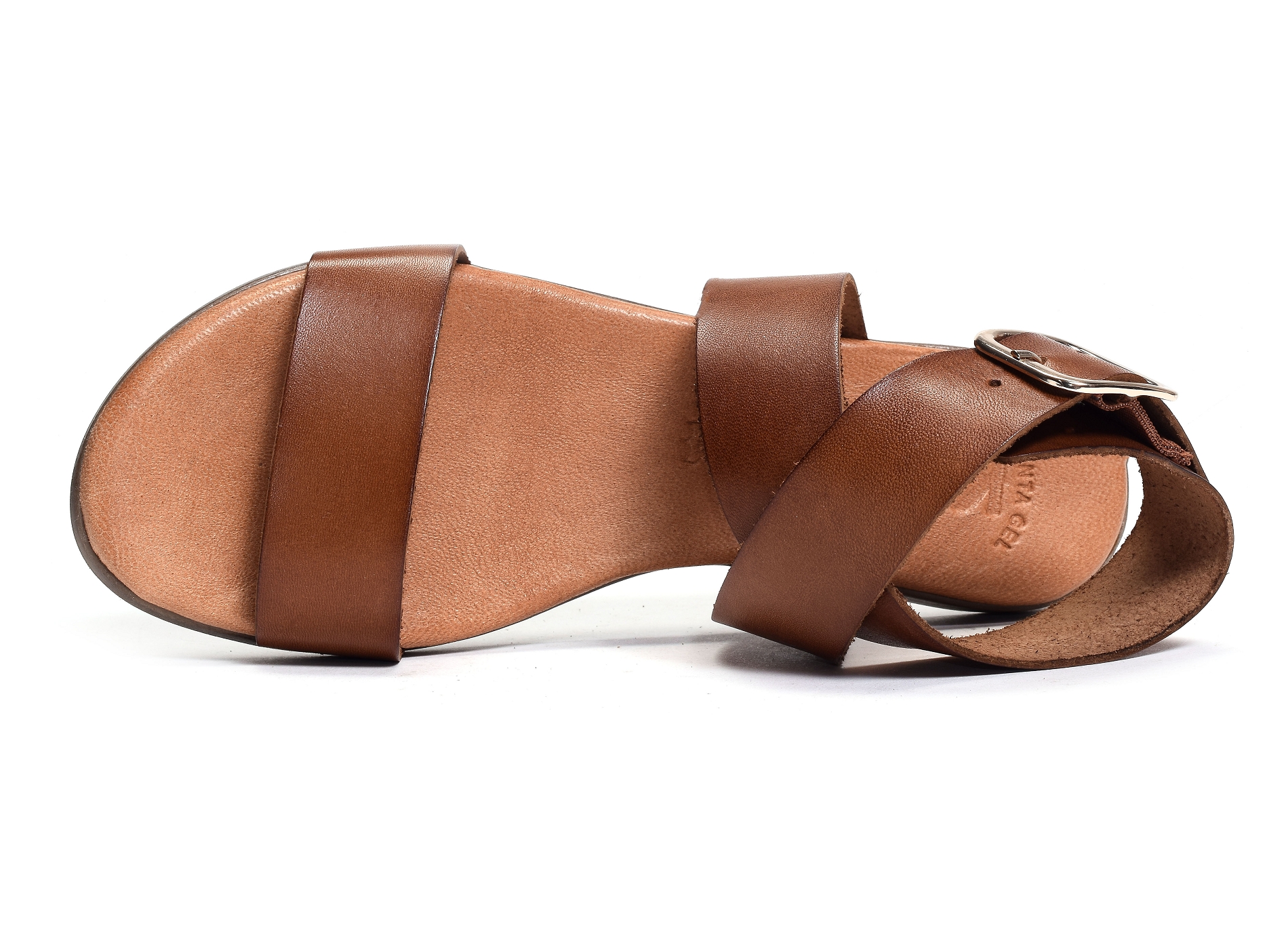 1359 camel