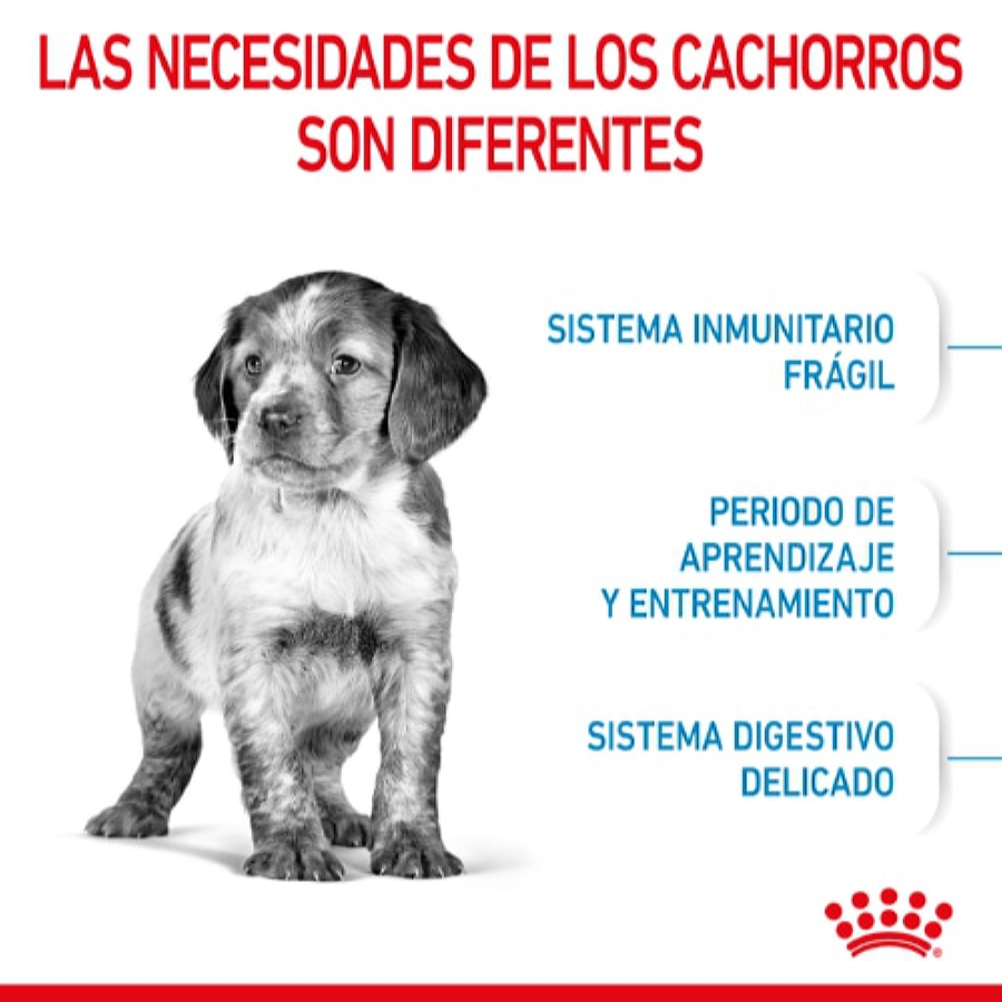 Ração Royal Canin para filhotes de porte médio