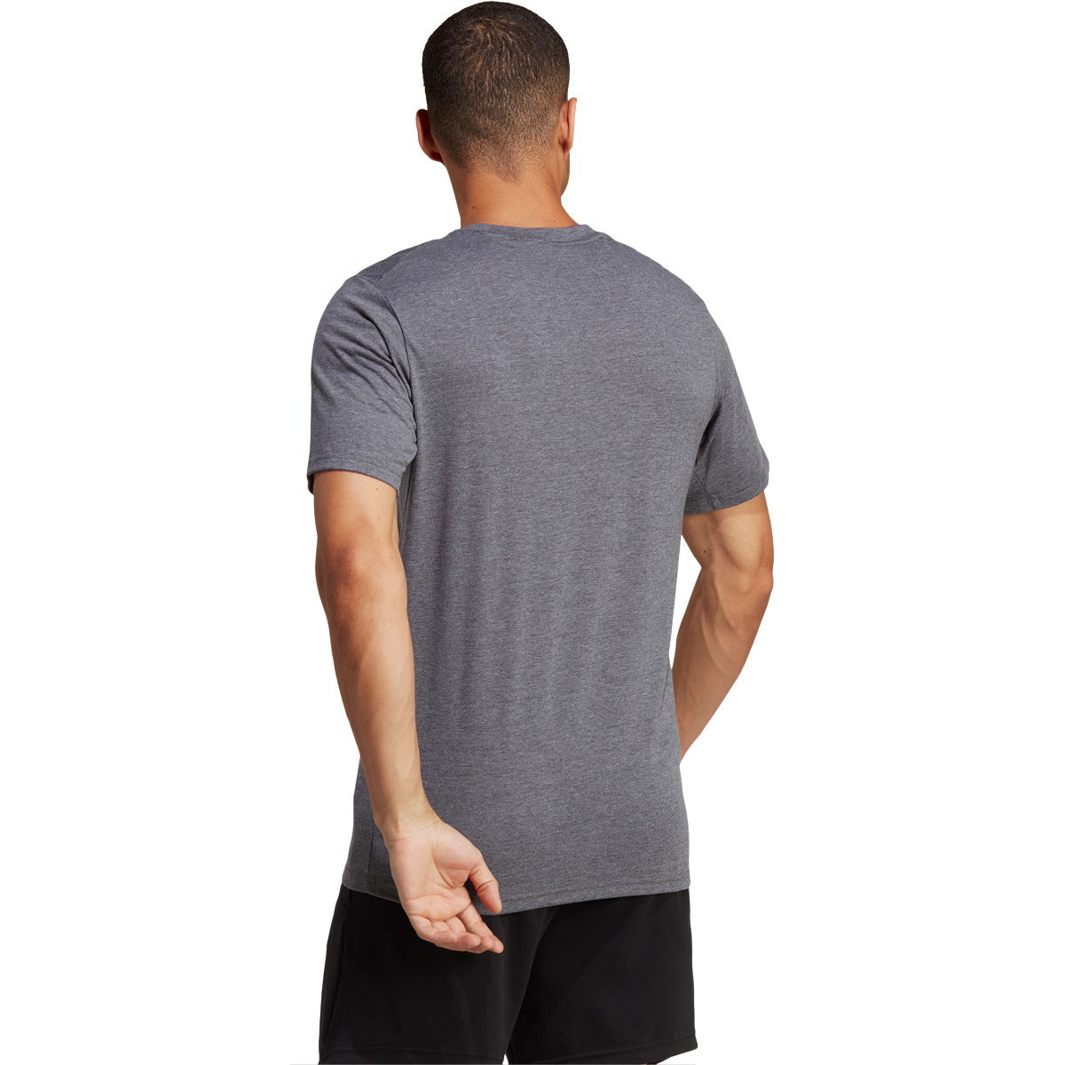 adidas Train Essentials Feelready Trænings T-shirt Herre