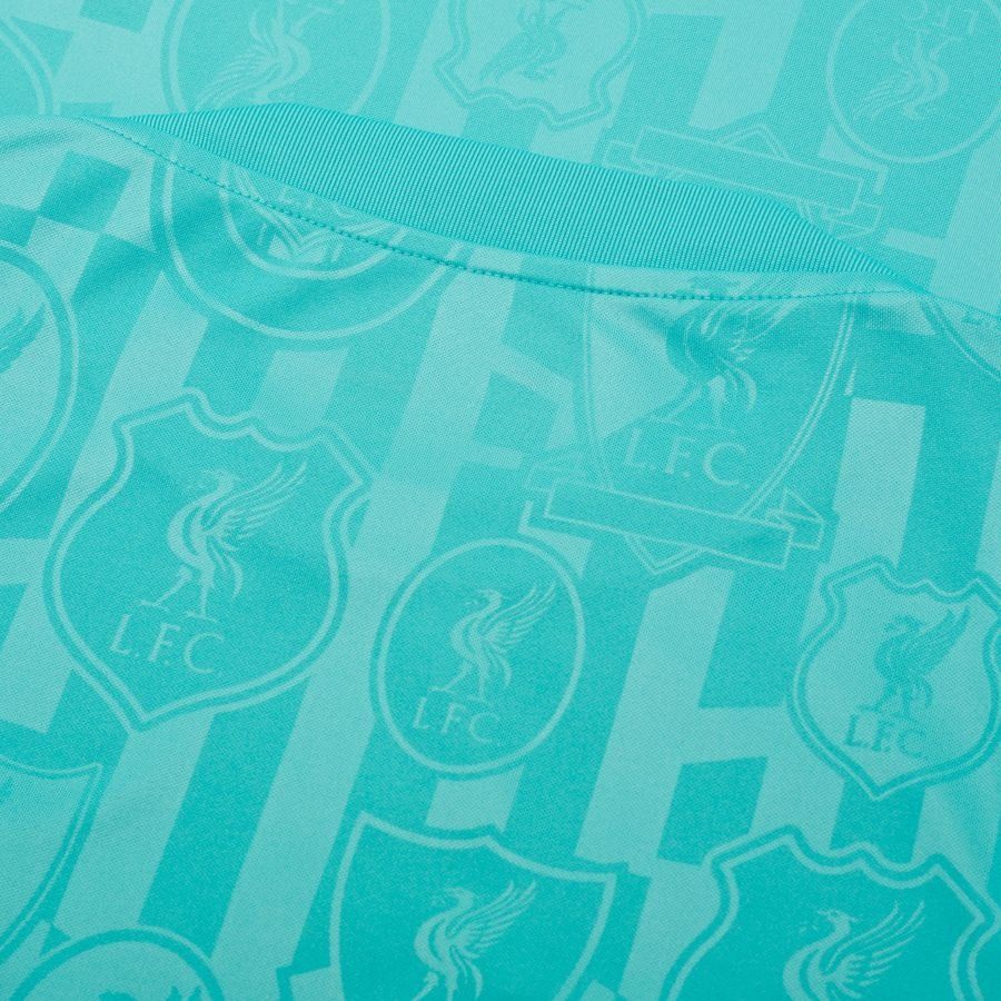 Liverpool T-shirt d'Entraînement Dri-FIT Academy Pro Avant-Match - Bleu/Vert