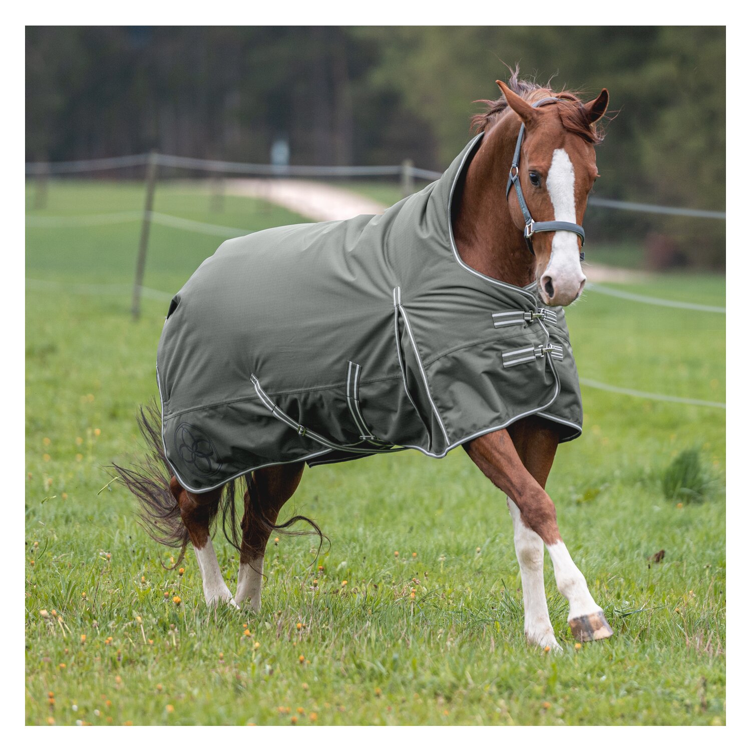 Passion 4Q 3-Zonen Outdoordecke - dark smoke