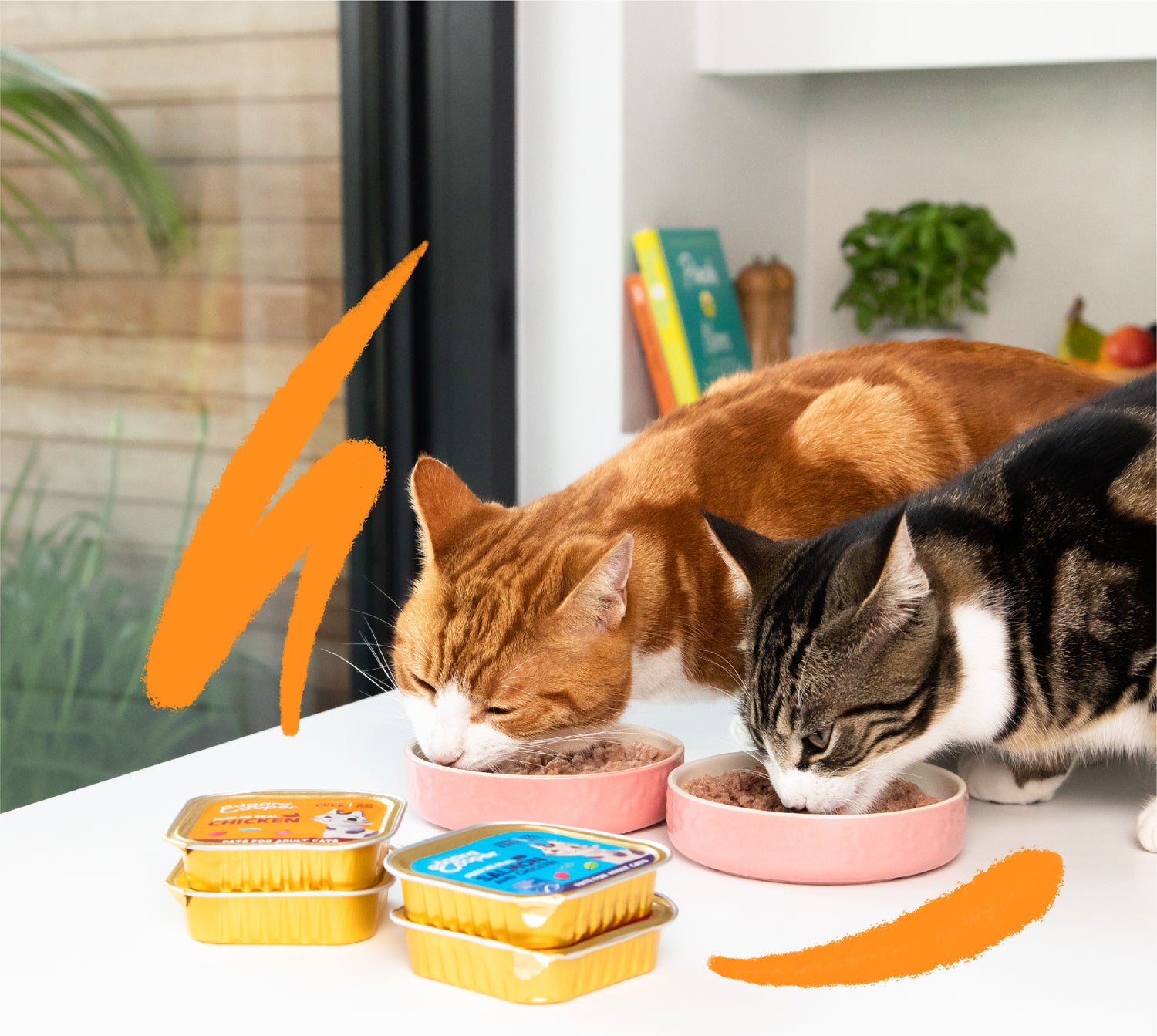 Edgard & Cooper kattenvoer paté lam/kip adult 85 g