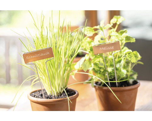 FloraSelf koperen plantenetiketten, 10 stuks.
