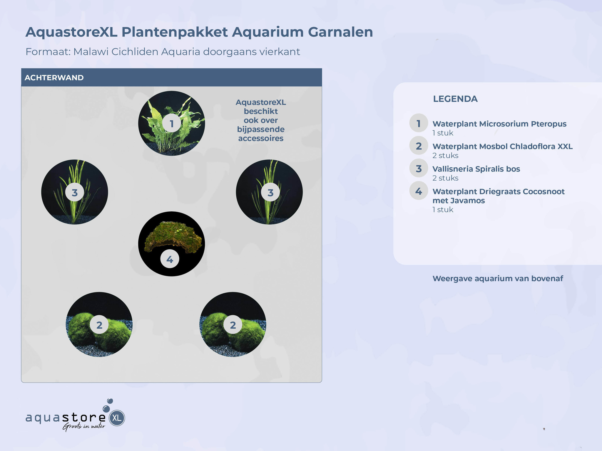 AquastoreXL Plantenpakket Garnalen 1