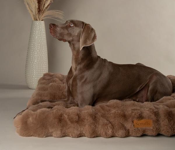 Scruffs Hundematratze Alpine Matress