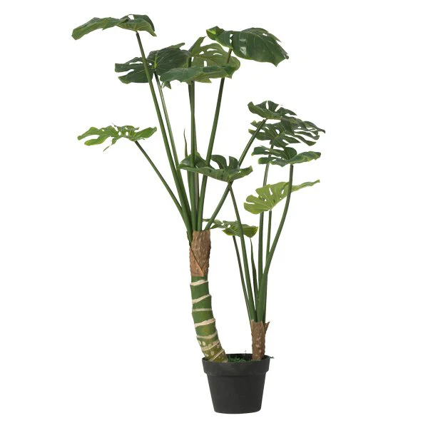 Bahne Interior  Plante monstera i potte - 100 cm.
