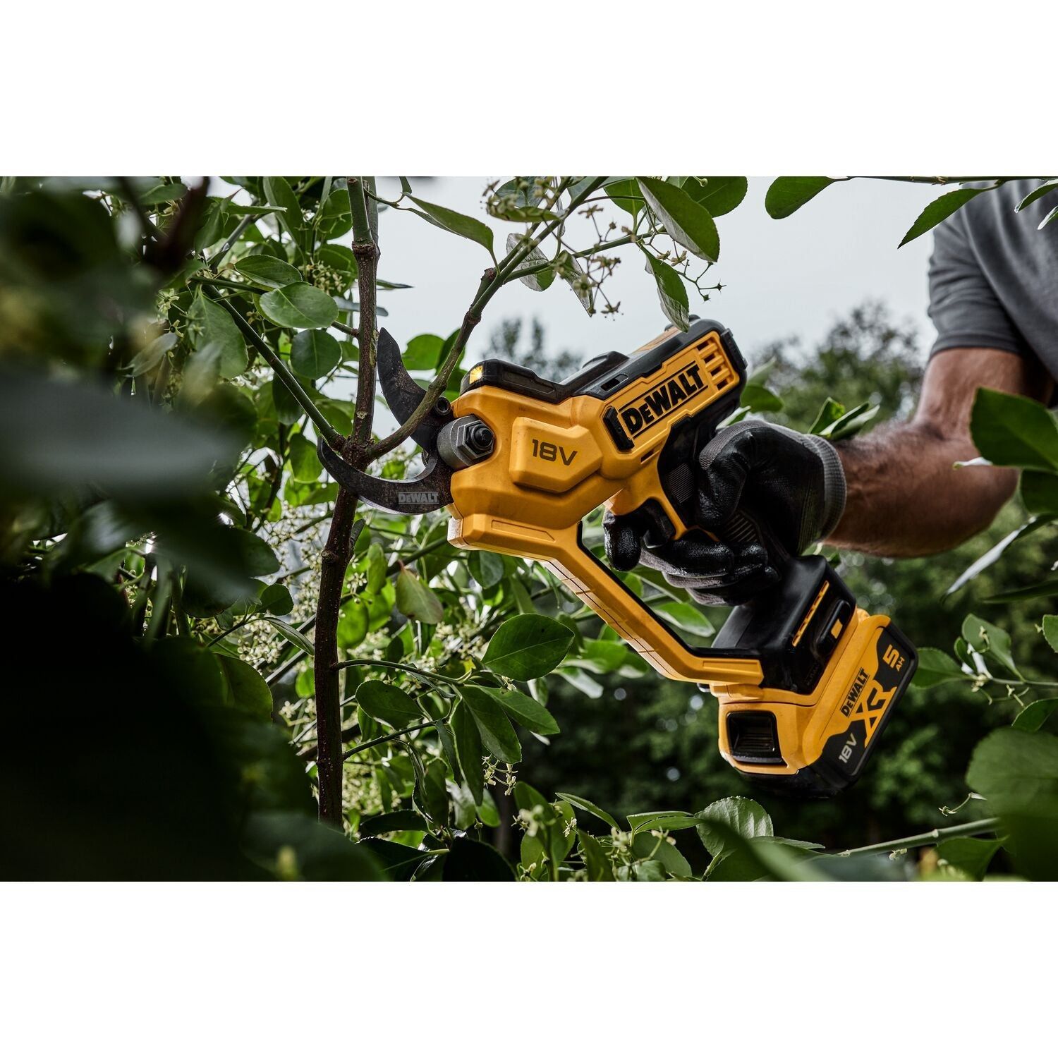 DeWALT DCMPP568N Accu snoeischaar 18V XR Basic Body