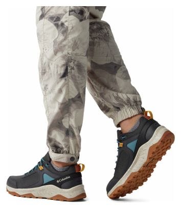 Chaussure de Randonnée Imperméable Trailstorm Ascend Gris