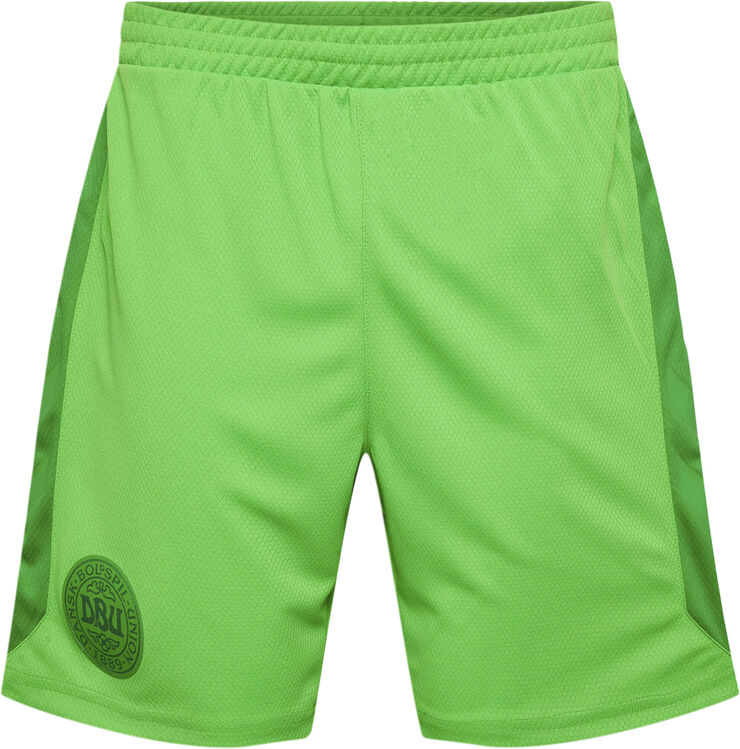 Hummel DBU Danmark målmandsshorts 22 Grøn