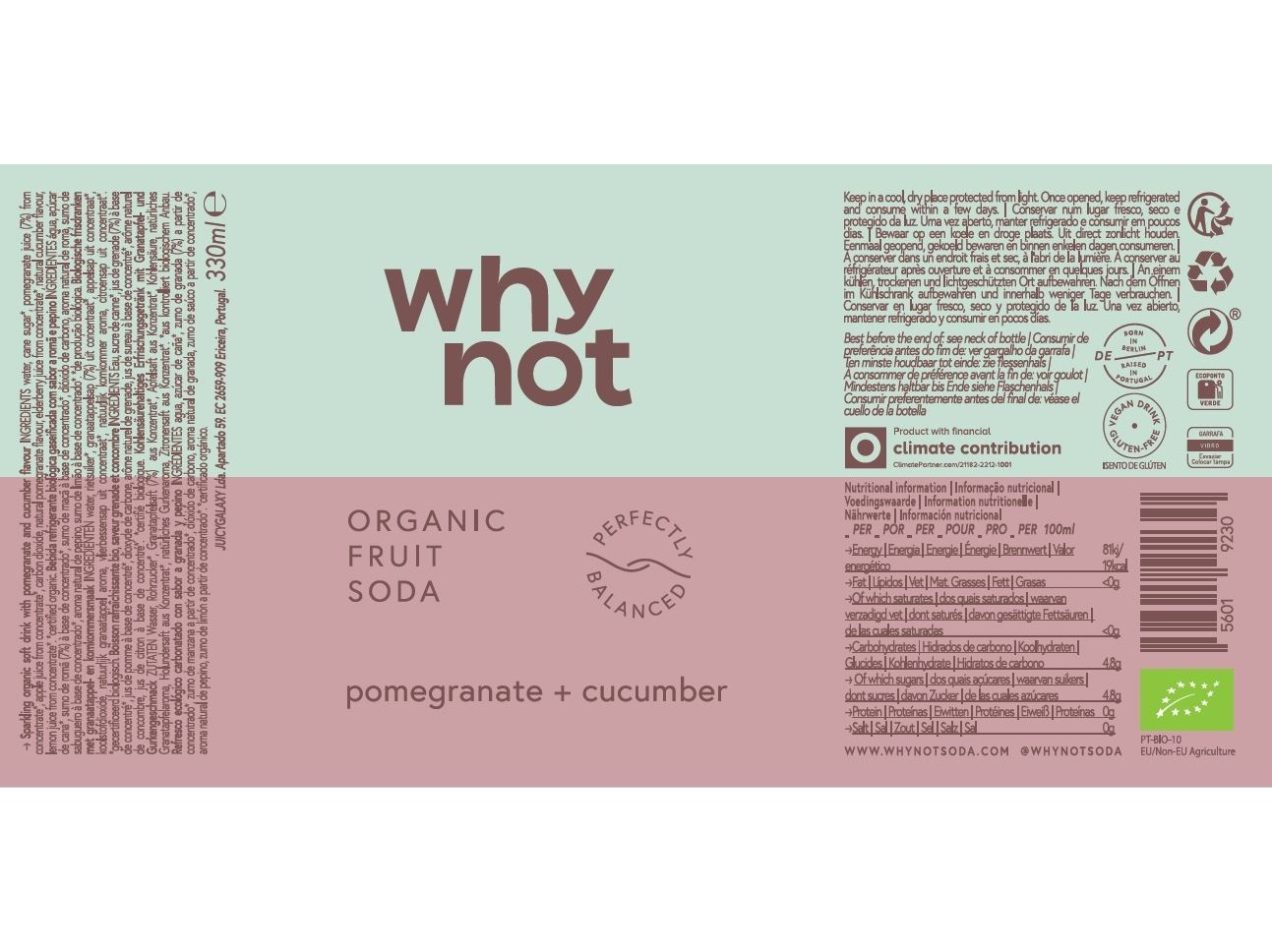 CRAFT SODA WHY NOT ROMÃ PEPINO 330 ML