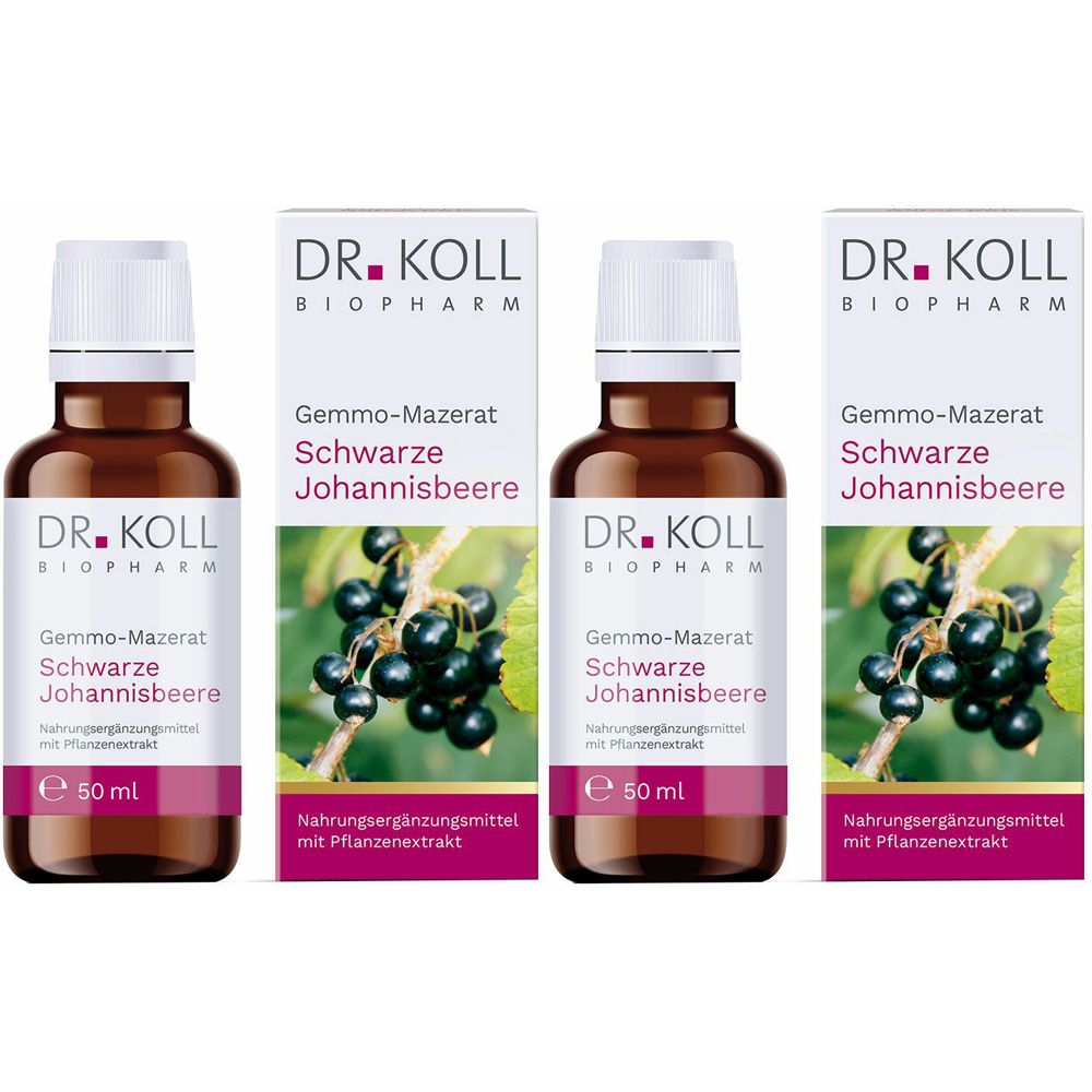 DR. KOLL GEMMO Mazerat schwarze Johannisbeere Dr.Koll Ribes