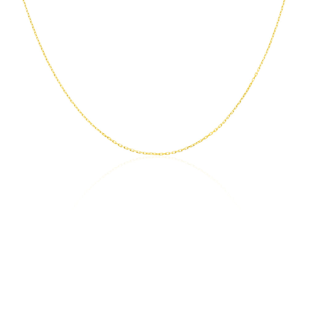 Chaîne Or Jaune Forçat