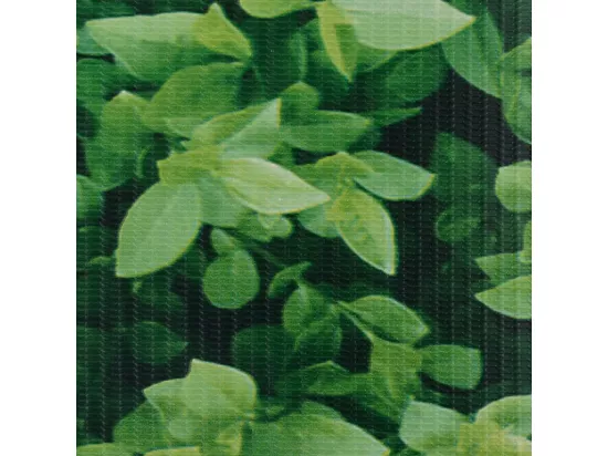 écran d'intimité de jardin PVC 70x0,19 m Vert