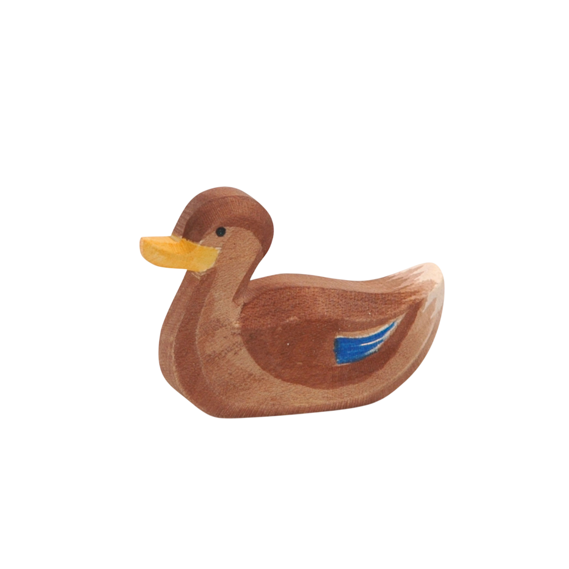Ostheimer Ente schwimmend