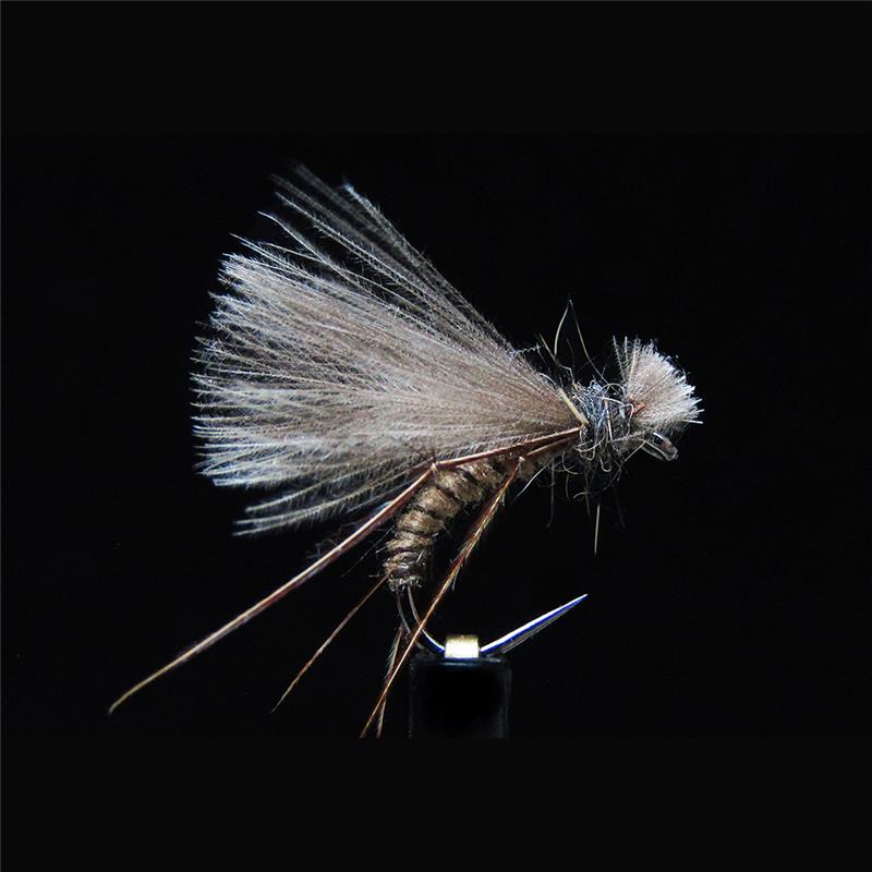 Mouche Jmc Terrestres Ter 5 Bl