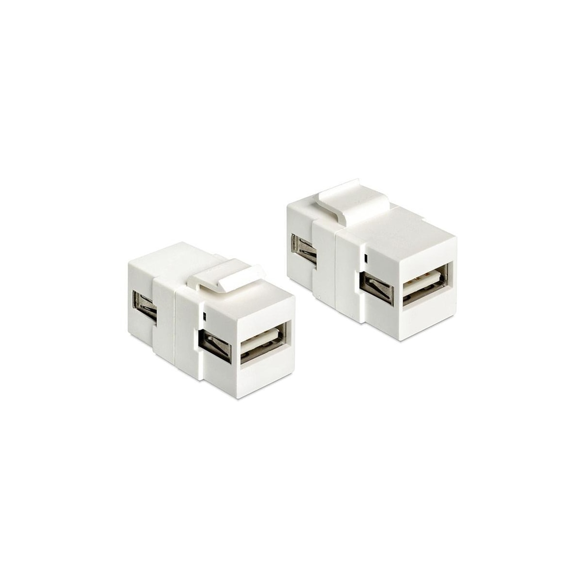 DeLOCK Keystone modul, USB 2.o Typ A ho - USB Typ A ho, vit