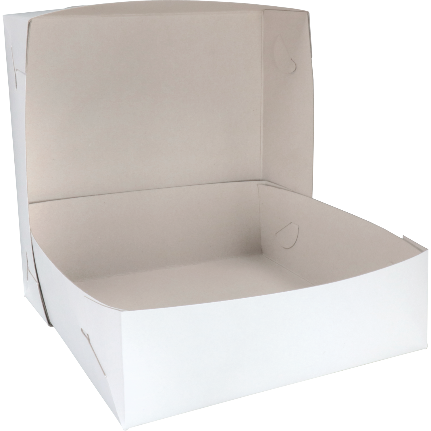 Zwanenhals/ verzenddoos, karton, 25x25x8cm, duplex, wit
