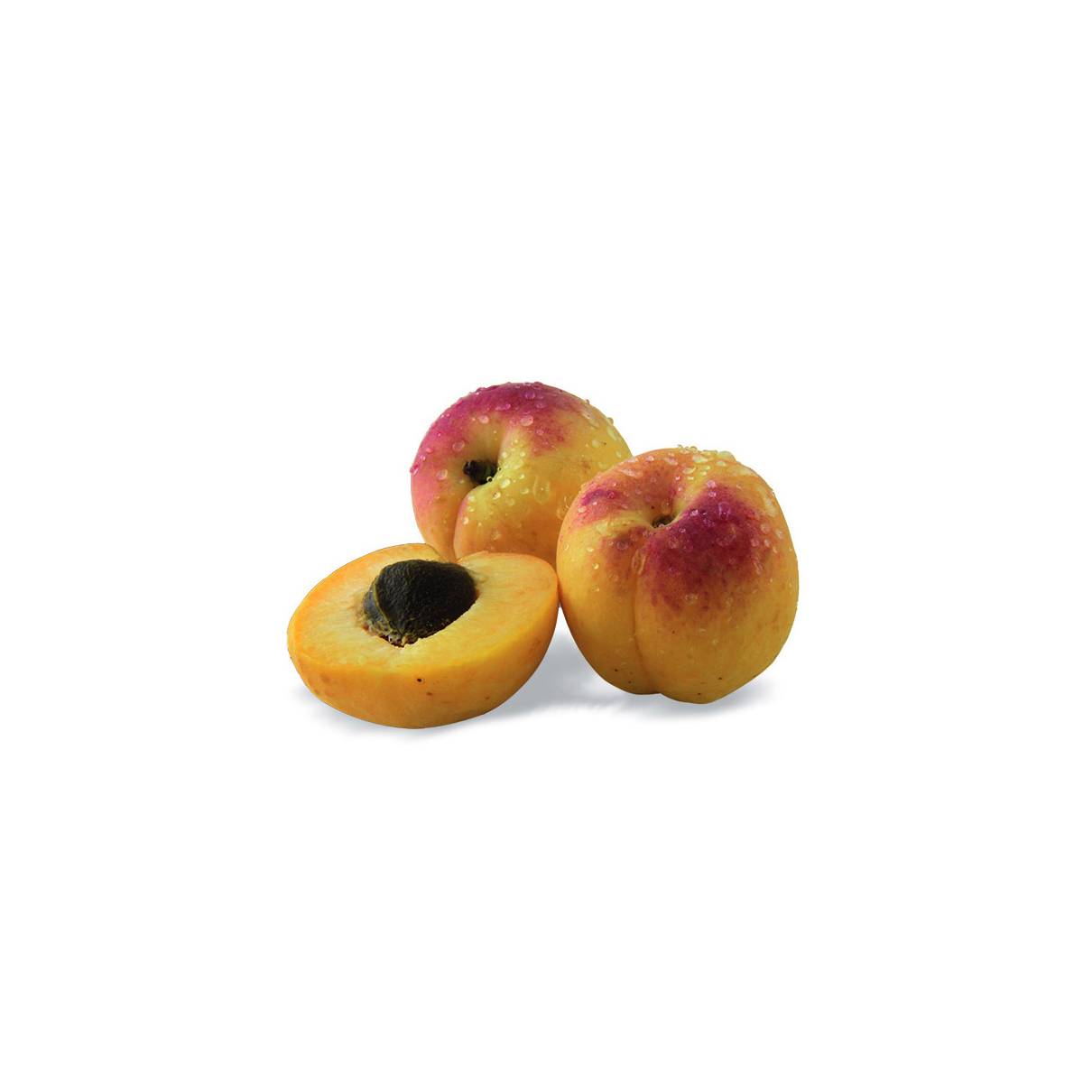 Abricotier nain petit' abri® - nain de jardin®/prunus armeniaca petit' abri® - nain de jardin®[-]pot de 5l
