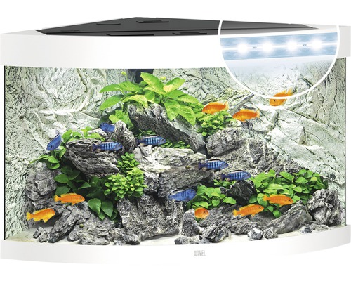 JUWEL Trigon 190 aquarium met LED-verlichting, filter, verwarming (zonder kast), wit