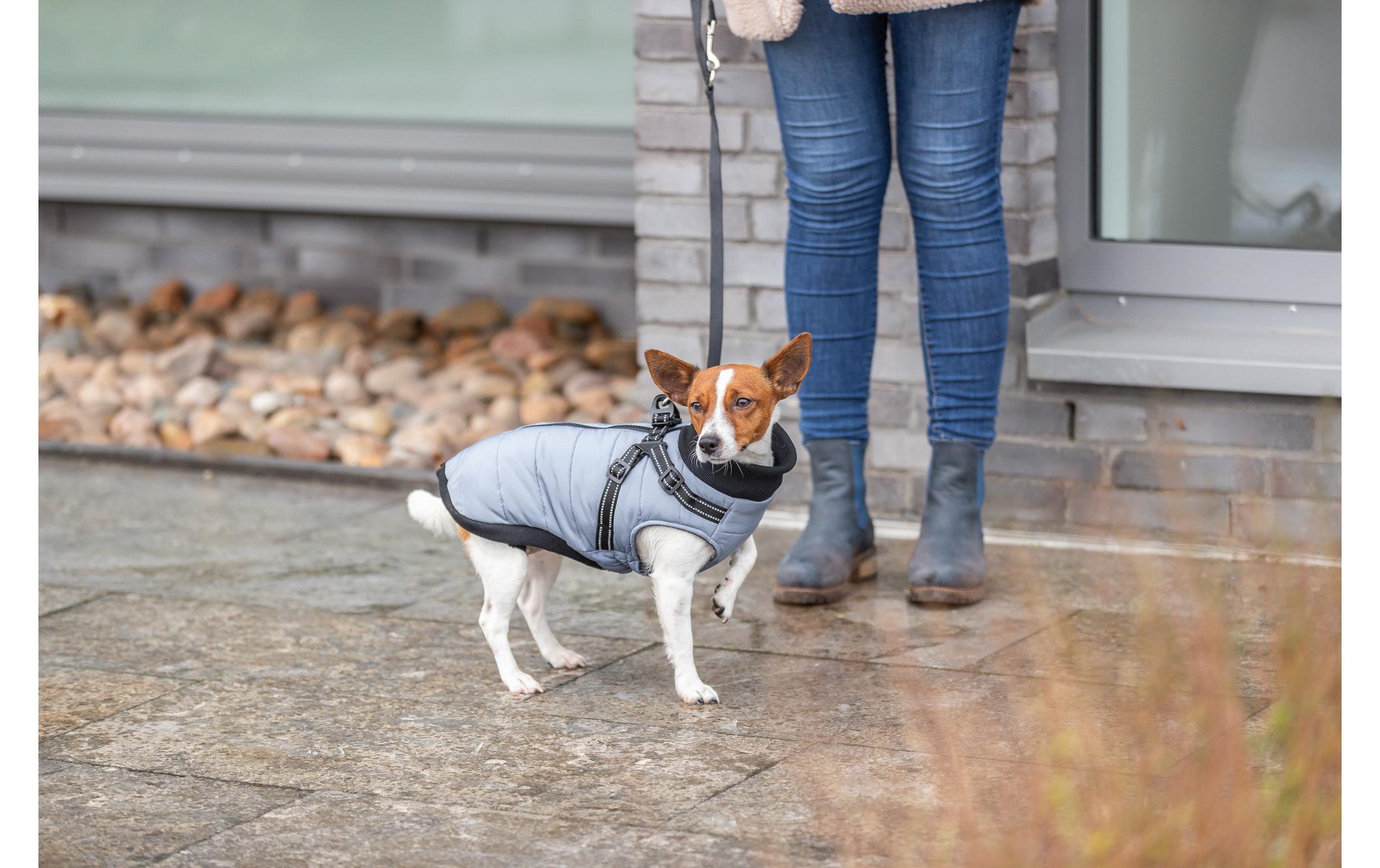 Geschirrmantel Pontis, M - , GrauPolyesterjacke mit integriertem Geschirr