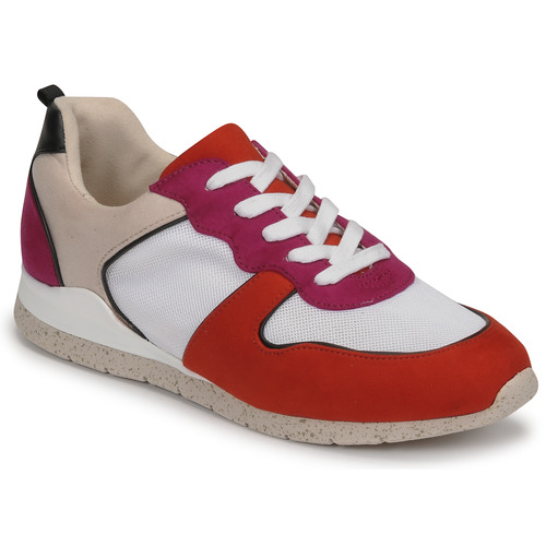 André - ADO - Multicolore