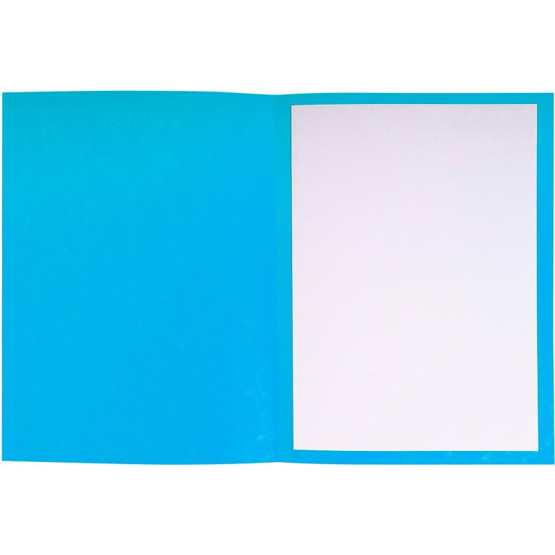 Paquet de 25 dossiers de plaidoirie pré-imprimés Exacompta - 25x32 - couleur
