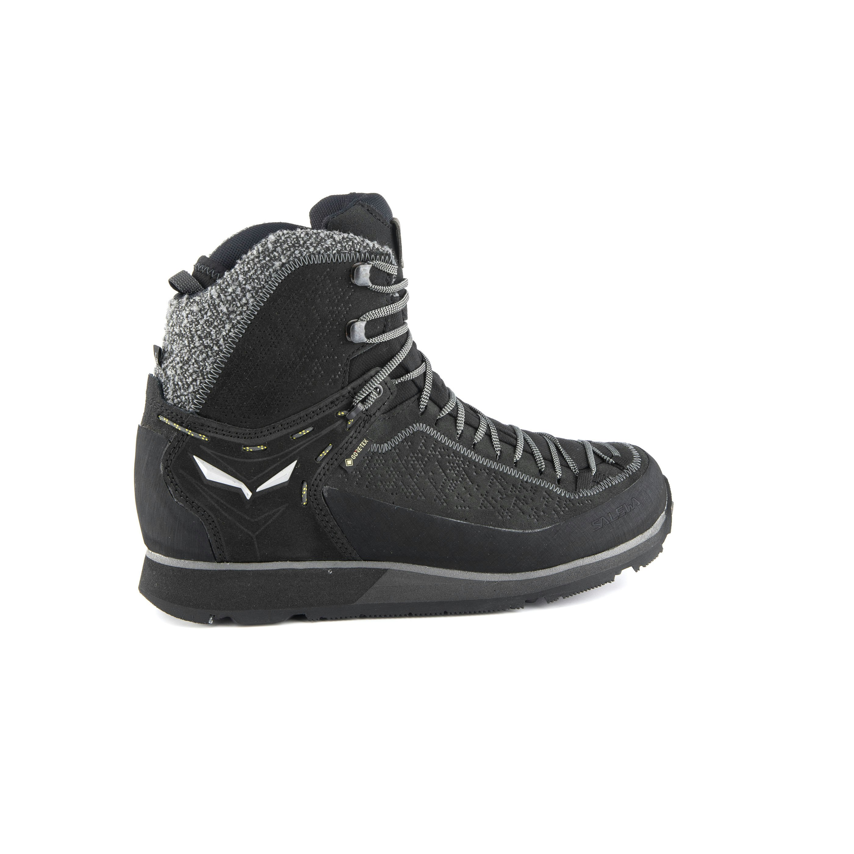Mountain Trainer 2 Winter GORE-TEX® Herren Schuhe