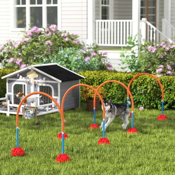Agility Set Dogs 5-delers utfyllbart agilityutstyr for hundetrening hekkesett med justerbare agilitydører bære bag treningstilbehør koordinasjonstreni