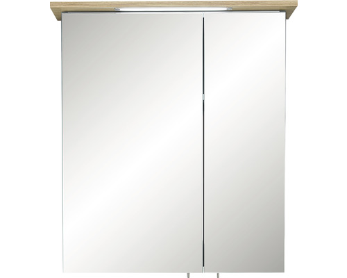 LED spiegelkast Salvie 60 x 72 x 20cm Salie