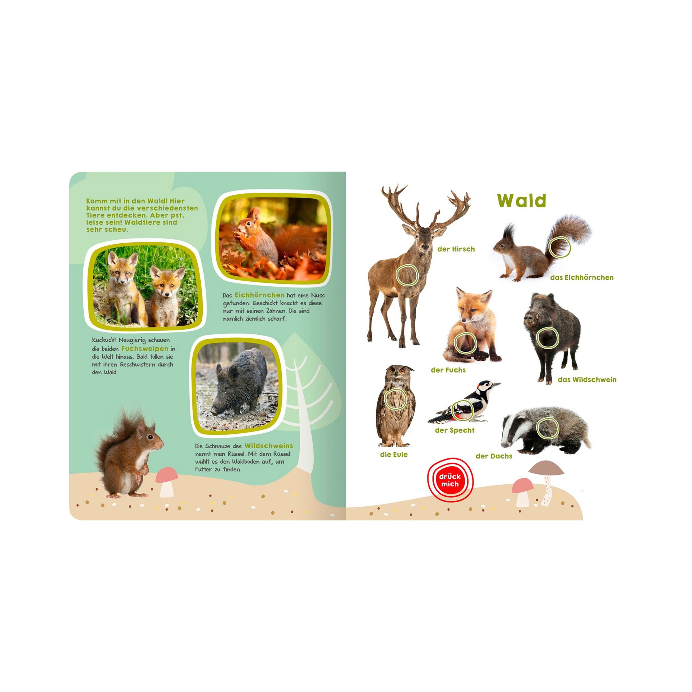 arsEdition Soundbilderbuch Mein großes Buch der Tiergeräusche