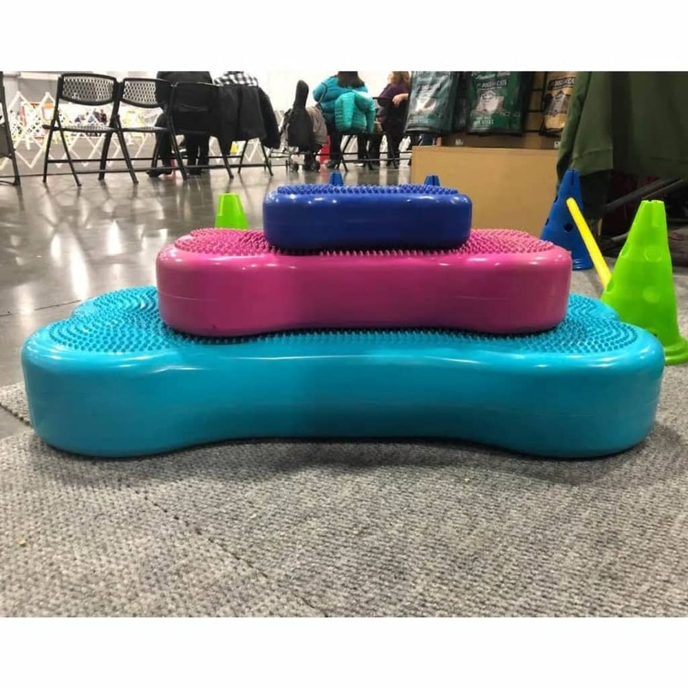 Plate-forme d'équilibre d'animaux giant k9fitbone pvc aqua