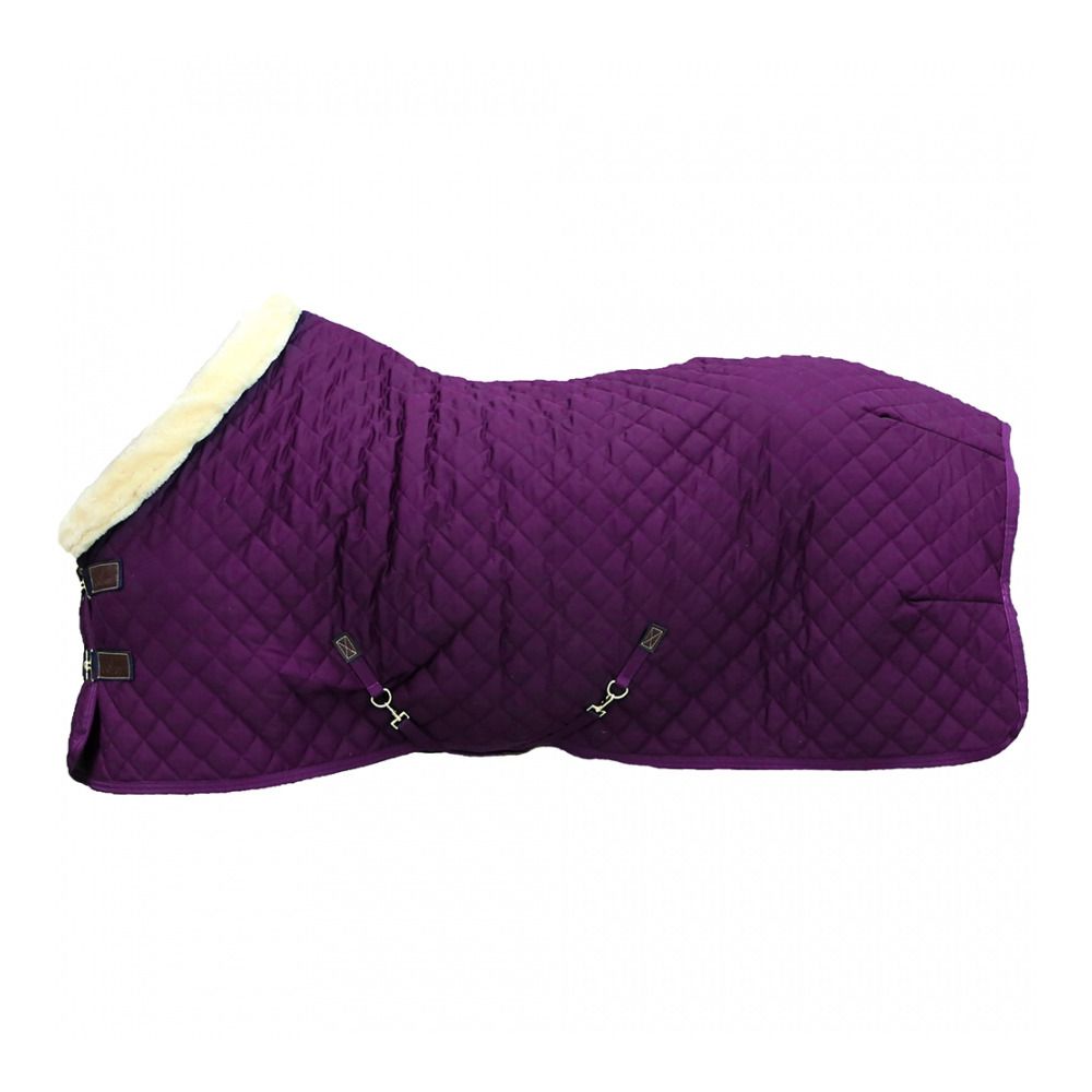Kentucky SHOW 160G - Couverture de présentation royal purple