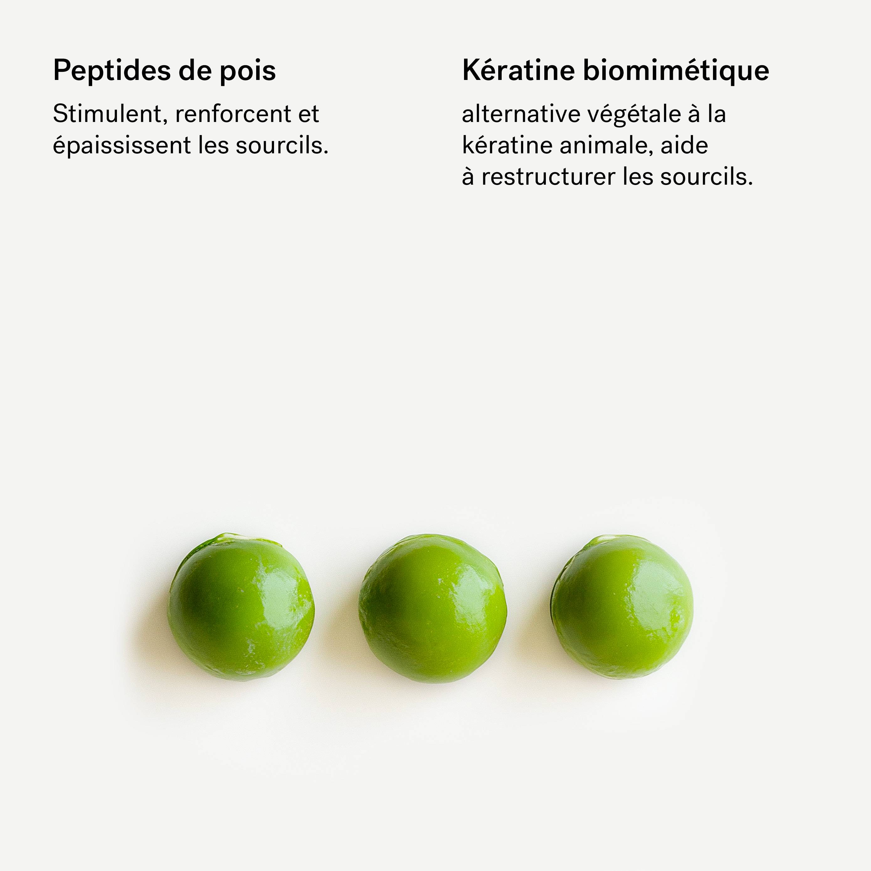 Gel fortifiant sourcils<br>Peptides de pois + Kératine végétale