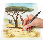STAEDLER Feutre double pointe 'Asie', étui en carton de 6