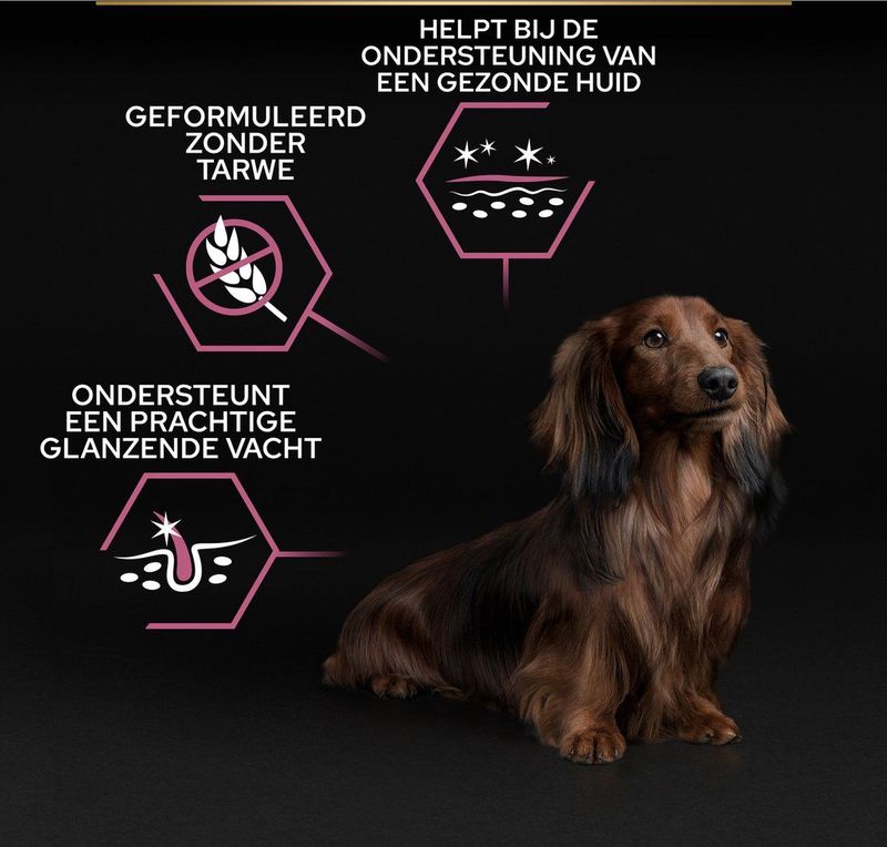 Pro Plan Small&Mini Adult Sensitive Skin - Honden Droogvoer - Zalm - 3 kg