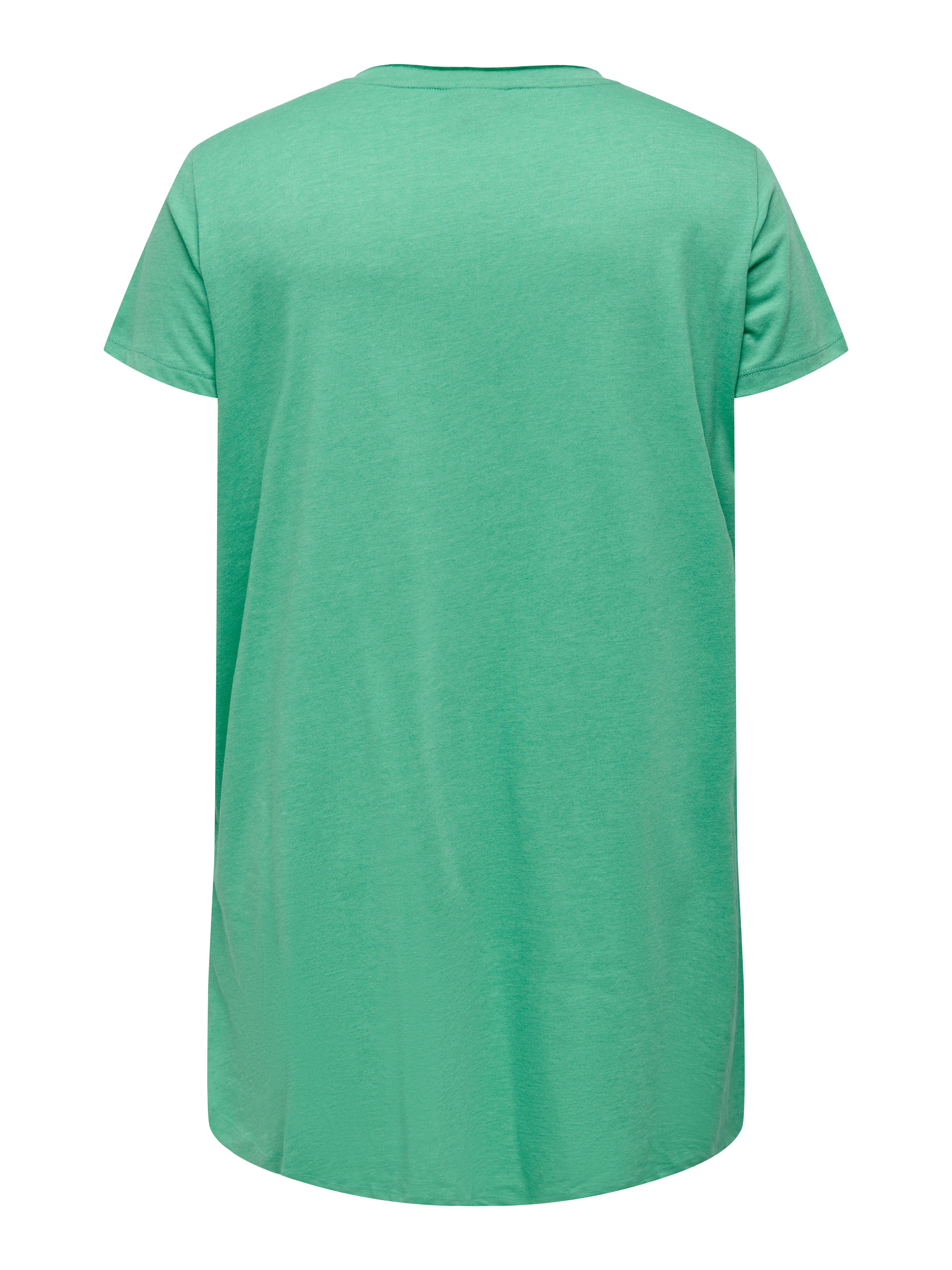CARNEWLIA T-shirt Winter Green