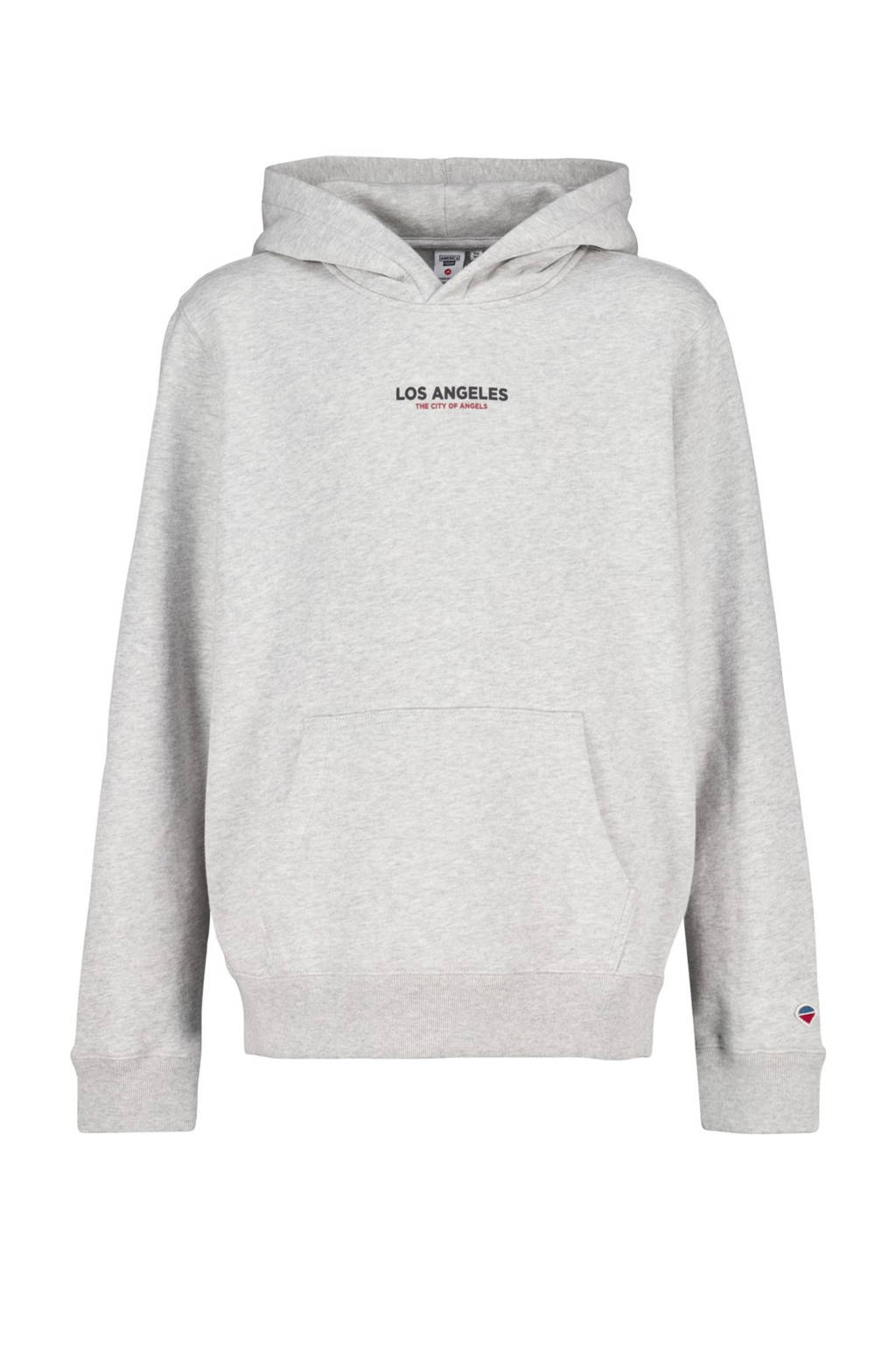 America Today hoodie grijs