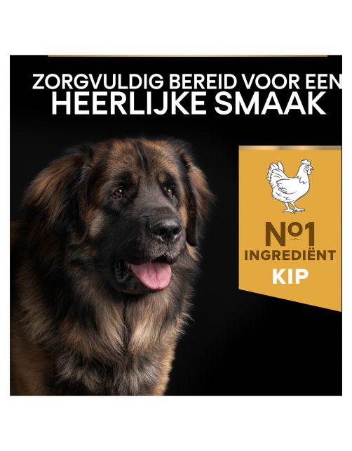Pro Plan Dog Adult Large Breed Robust Kip - Hondenvoer