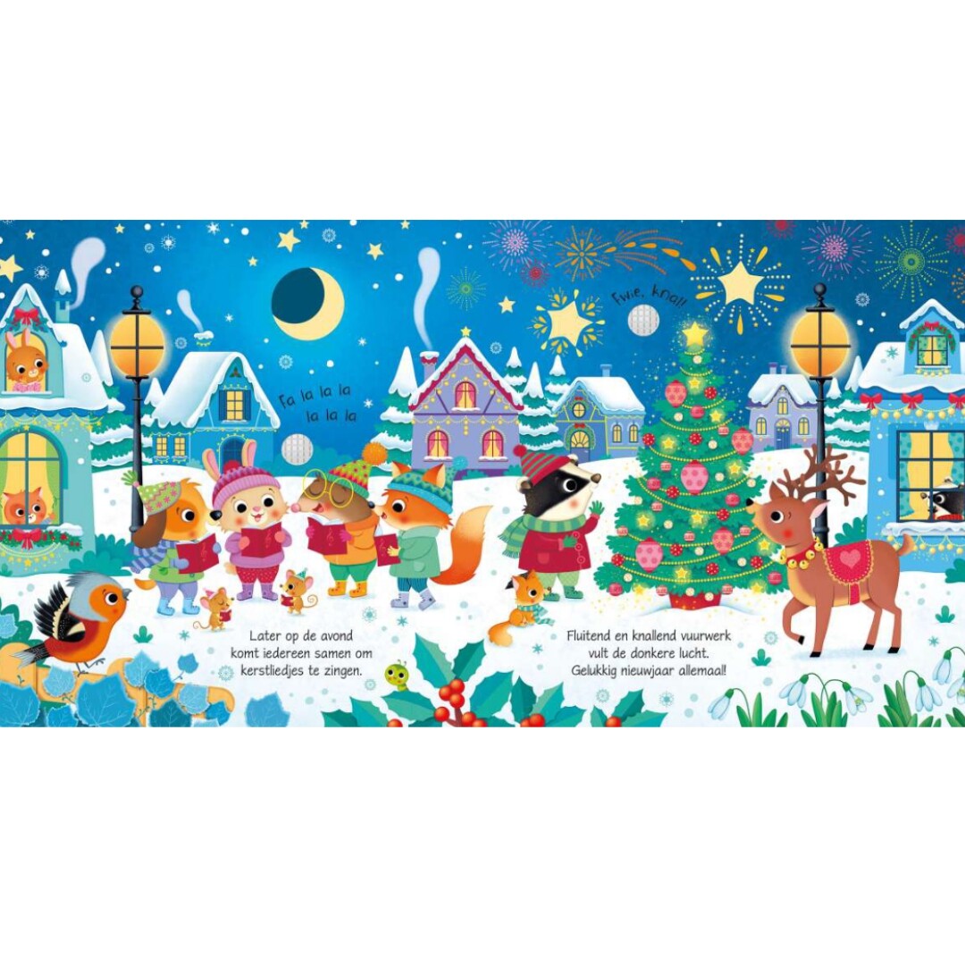 Uitgeverij usborne geluidenboek in de winter