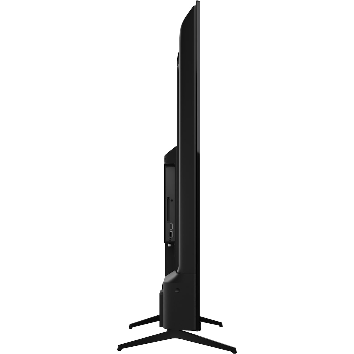 Sharp 55