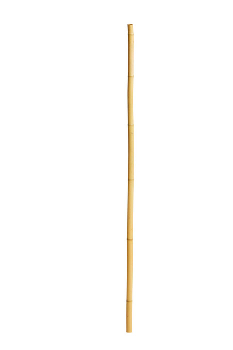 Snobrødspind bambus