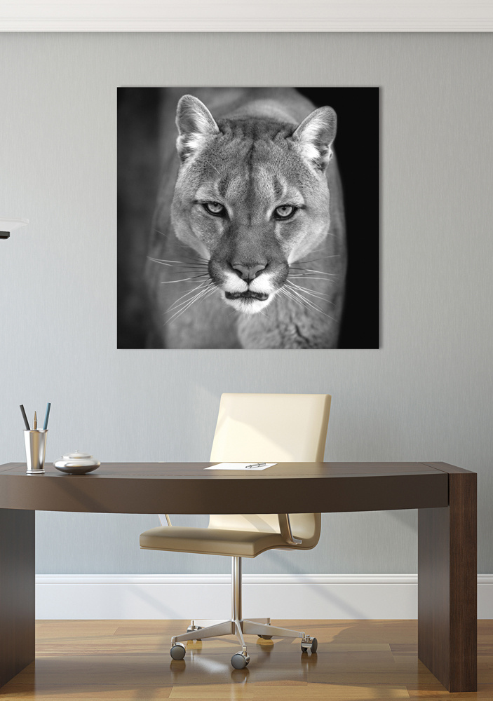 Akustikbild PUMA 80x80cm, 5kg