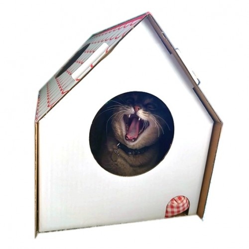 Casinha de papelão branca para gatos da Frankie