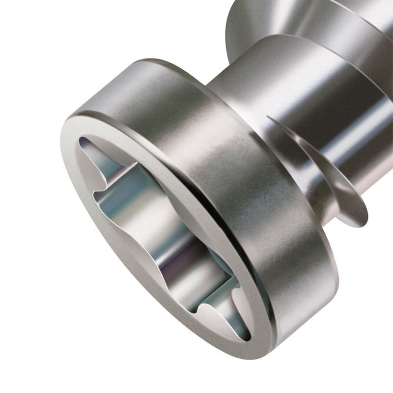 Spax vlonderschroeven T-STAR plus platkop RVS 5x40mm TX20