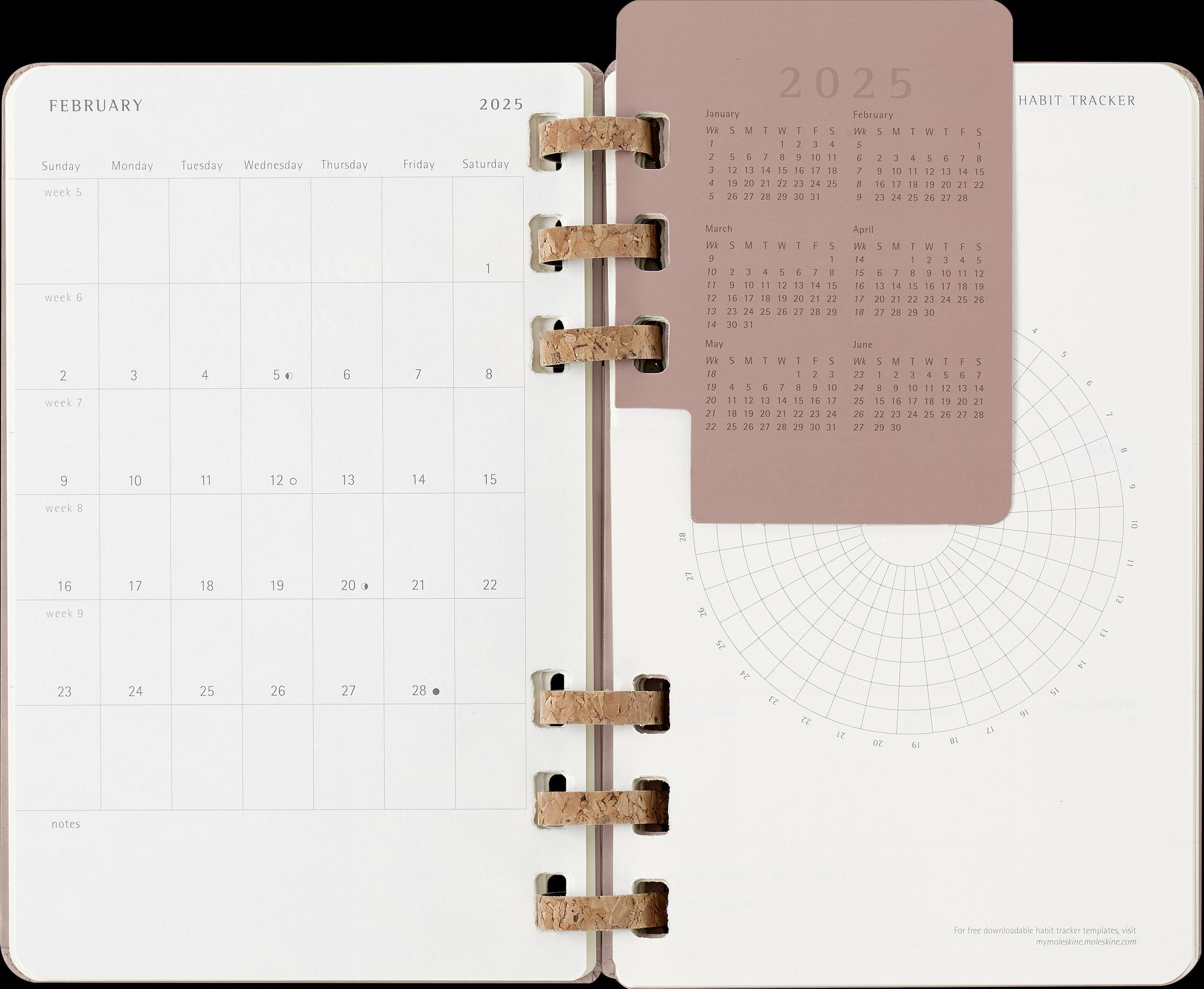 Moleskine 12 Monate Planer mit Spiralbindung, L/A5