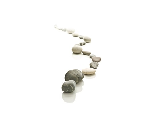 Douche achterwand mySPOTTI Fresh Stone Path 100 x 255 cm