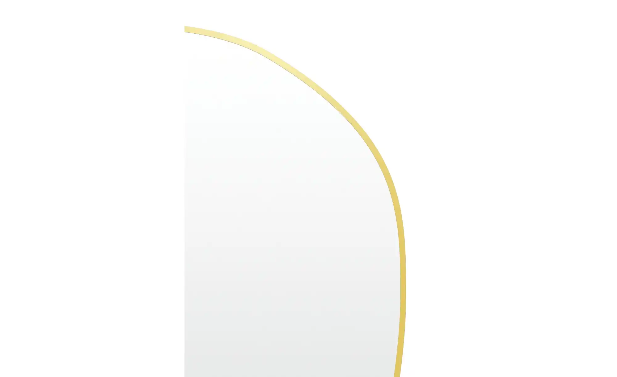 Spiegel 45 x 140 cm