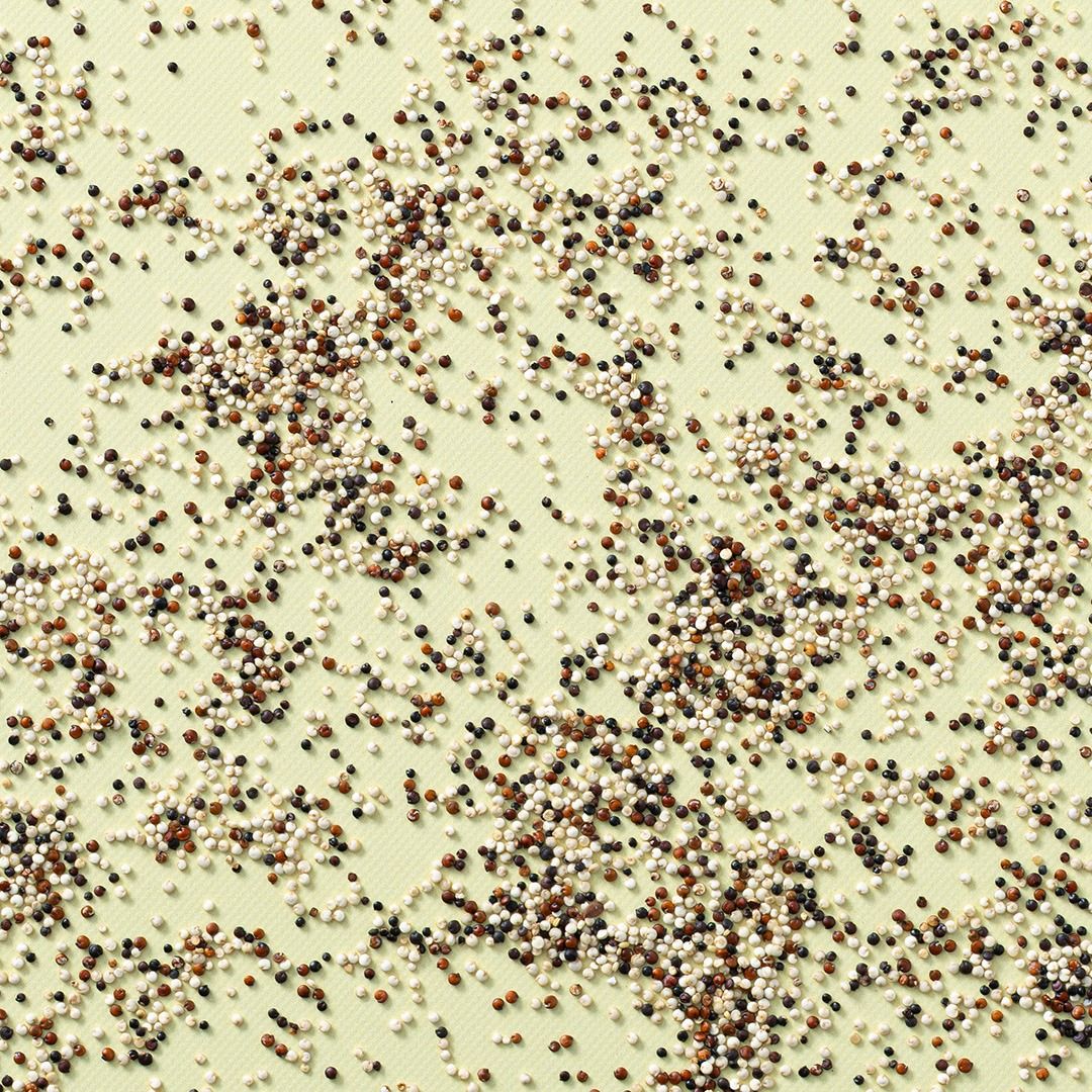 Quinoa tricolor