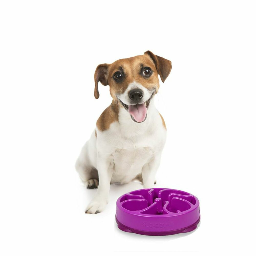 Outward Hound Fun Feeder Flower Large Paars29 x 29 x 7 cm