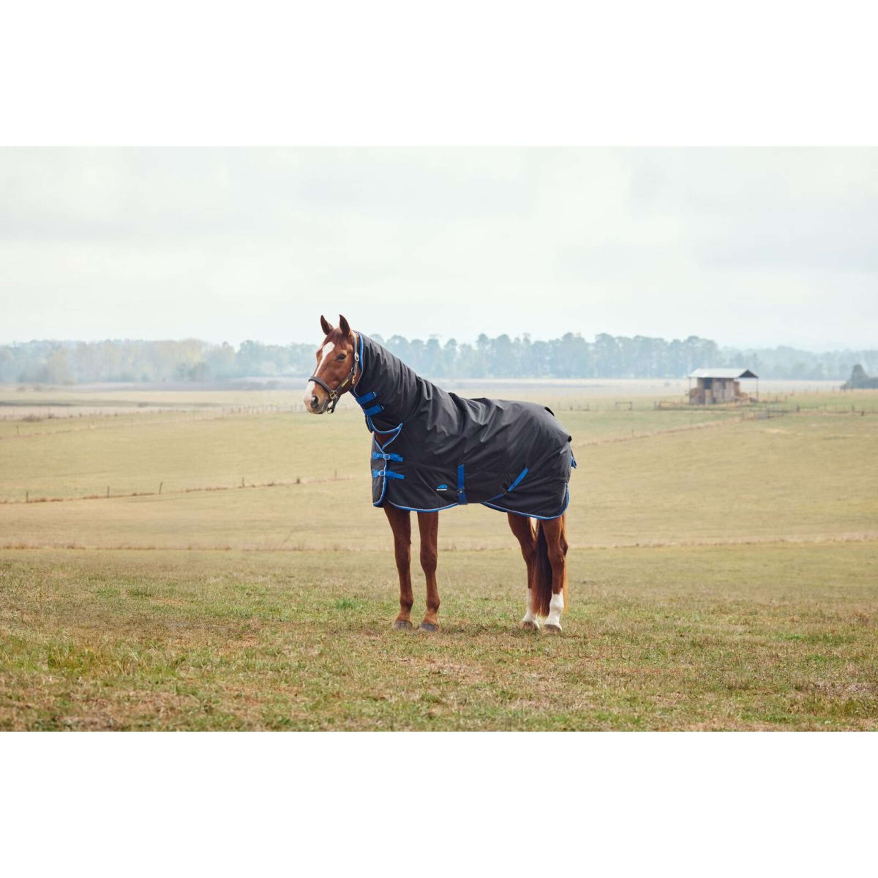 WeatherBeeta ComFiTec Tyro Turnout Combo Neck 220g Zwart/Kobalt